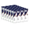 Wilson Roland Garros All Court Tennis Balls - 24 Can Case -Racquet Guys Shop WILSON ALLCOURT WRT129100